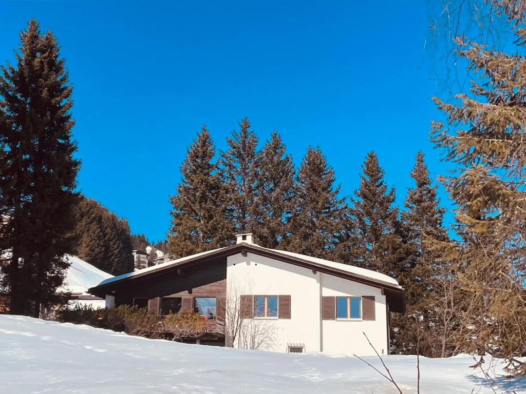 La Civetta Villa Valbella Eksteriør billede